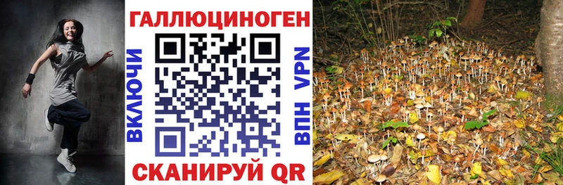 Псилоцибиновые грибы MAGIC MUSHROOMS  Верхний Уфалей 